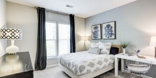 Regent's Park Gallery 9