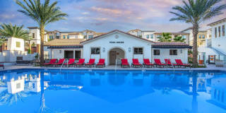 Vineyards Gallery 10