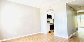 3 Almond C Gallery 6