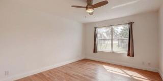 10758 Lake Jasmine Drive Gallery 16