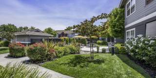 Seville at Mace Ranch Gallery 42