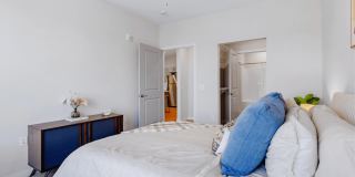 Lexi Apartments Gallery 7