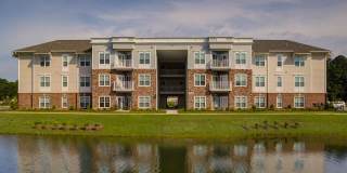 The Nest on 17 The Nest on 17 Gallery 6