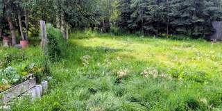 3451 Sharon Road Gallery 5