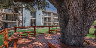 Sky at Salado Creek Gallery 8