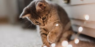 The Danforth at Dobbs Ferry Gallery 32