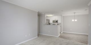 Vista Commons Apartment Homes Gallery 40