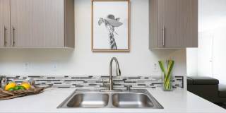 Palermo Apartments Gallery 14