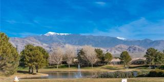 4921 Novelli Place Gallery 31