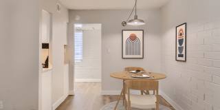 Omnia on Thomas Gallery 60