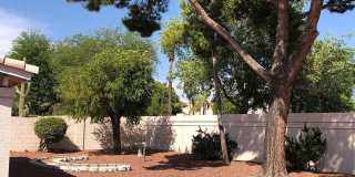 READY TO VIEW TO NOW! 3 Bed/ 2 Bath Home in Arrowhead Lakes Gallery 35