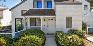 9 Fallingstar Gallery 1