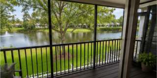 1/1 Lakefront Living in Carrollwood! Available July 10th! Gallery 13