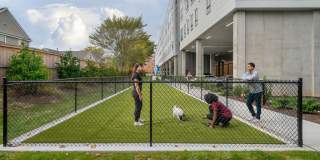 Cadence on Canal Gallery 21