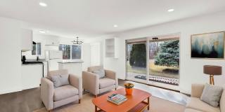 Shelby Courts Gallery 1