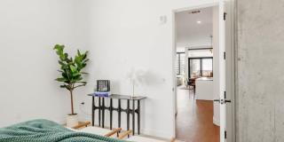 Flora RiNo Gallery 22