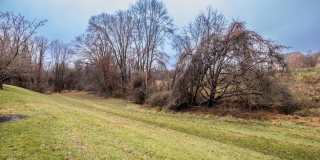 1717 LANDMARK Drive unit: 1K Gallery 31