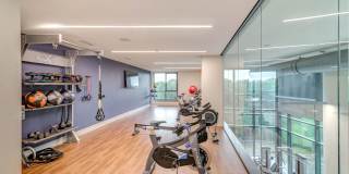 Cortland M-Line Gallery 16