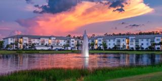 Town Treeline Gallery 15