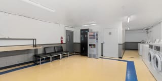 Wood Lee Arms Gallery 47