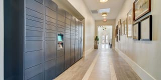 Napa Oaks Gallery 25