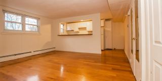 Pet Friendly, Garden Level Affordable Apartment in Brookline w ONE FREE Parking Spot, Heat, Hot Water all INCLUDED!   Most Utilities Gallery 5