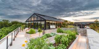 City Ridge Gallery 10