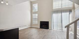 Vert at Six Forks Gallery 11