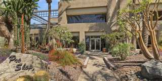 359 Desert Holly Drive Gallery 43