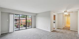 Grove at Alban Gallery 32