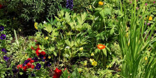 111 S Sixth Street Gallery 60