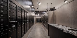 AMLI Midtown Miami Gallery 30