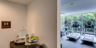Sequel Gallery 18