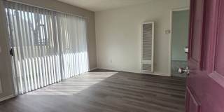170 Amberway Apartments Gallery 4
