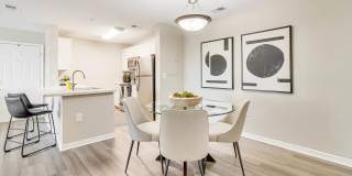 Lexington Palms at the Forum Gallery 11