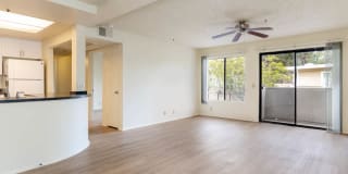 Ocean Crest Gallery 12