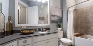 Novus Westshore Gallery 36