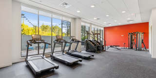 Adara at Totem Lake Gallery 13