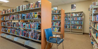 9523 S Hollybrook Lake Drive Gallery 59