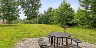 Autumn Crest Gallery 27