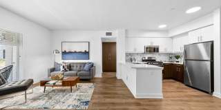 The Elinor Gallery 51