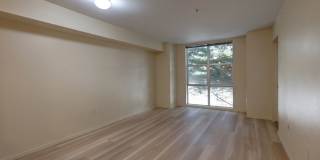 Downtown Bellevue One Bedroom One Bath Condo Available! Downtown Bellevue One Bedroom One Bath Condo Available! Gallery 5