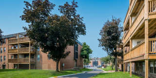 Cove West Hartford Gallery 3