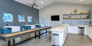 Ariel Springs Gallery 10