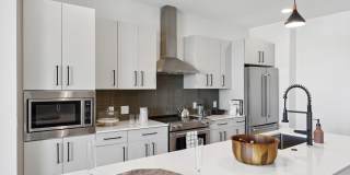 Starlight Gallery 20