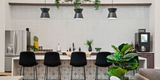 Meritum Evergreen Gallery 24