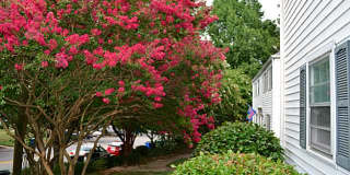 1036 Nichols Dr Gallery 21
