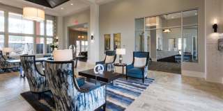 The Aster Gallery 4