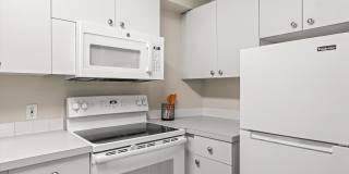 Bears Village Gallery 22