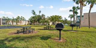 Buena Vista Gallery 93